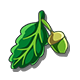 Acorn