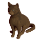 A cat