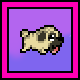 Turbo Pug