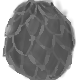 Dormant Egg
