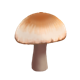 Brown Mushroom