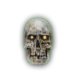 Skull of a peasant