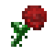 Red Rose