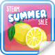 Steam Summer 2017