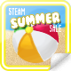 Steam Summer 2017