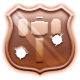 Deputy Badge