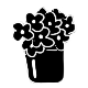 Black Flowers