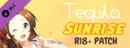 Tequila Sunrise R18 Patch