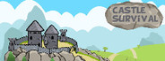 Castle survival