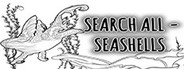 SEARCH ALL - SEASHELLS