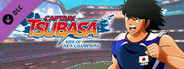 Captain Tsubasa: Rise of New Champions Kojiro Hyuga