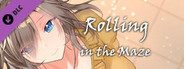 Rolling in the Maze-Patch