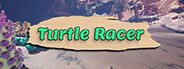 Turtle Racer