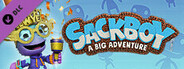 Sackboy™: A Big Adventure - New Year's Costume