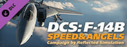 DCS: F-14B Speed and Angels Campaign
