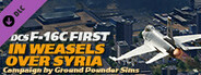 DCS: F-16C First in Weasels Over Syria Campaign by Ground Pounder Sims