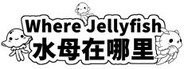 Where Jellyfish 水母在哪里