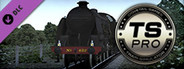 Train Simulator: Southern Railway S15 Class Steam Loco Add-On