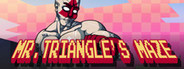 Mr. Triangle's Maze
