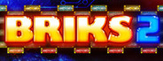 BRIKS 2