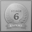 Stage 6 Expert