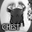 Chest