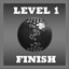 Level 1 Finished