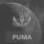 Puma Owner