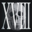 Skull XVIII