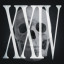 Skull XXIV