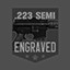 .223 Semi-Automatic Rifle (Black)