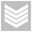 Colonel