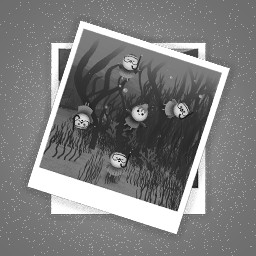 Decisions, decisions...