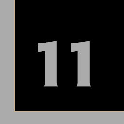 Level 11