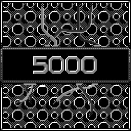 5000 points