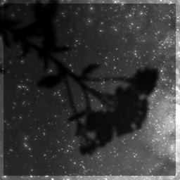 In the shattering memories