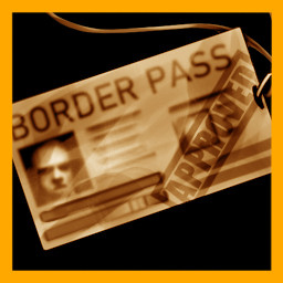 Forged border passes