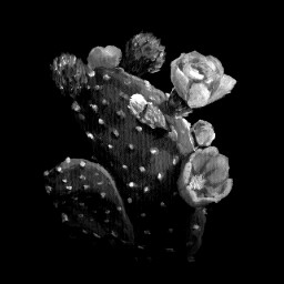 No Person Is An Island