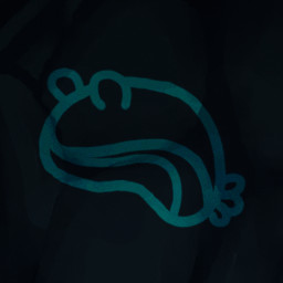 Sea bunny!