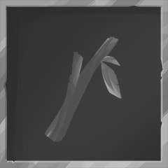 The Power of Forgiveness