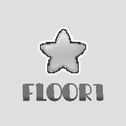 Floor 1 Finished
