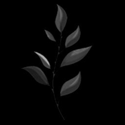 Medicinal, of course