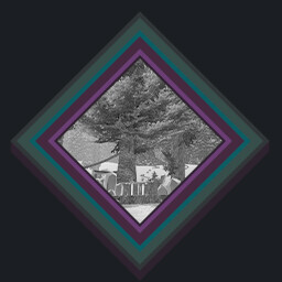 A Dream of Melancholy