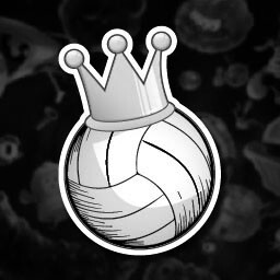 Volley King