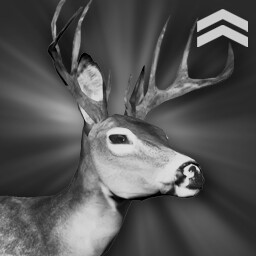 Deer Hunter (Intermediate)
