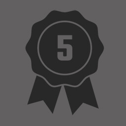 Level 5