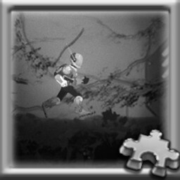 Dark Run