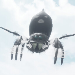 The Silken Egg Sac (Male)