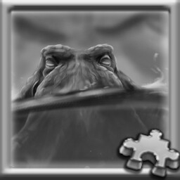 Kraken