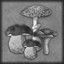 Mushroom-picker
